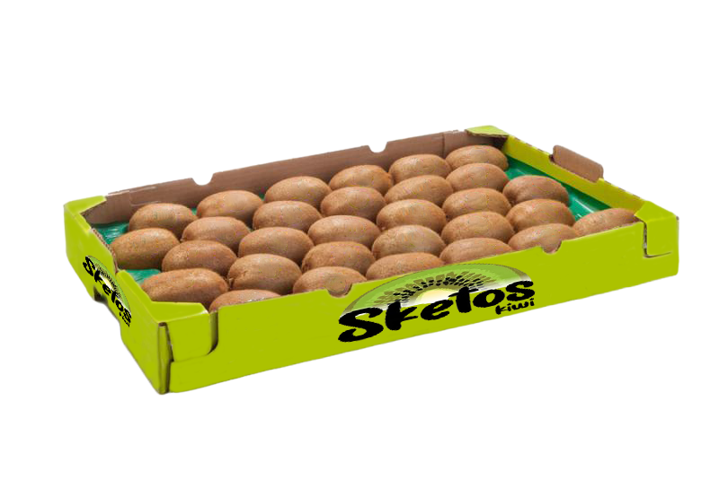 Μονόσειρο χαρτοκιβώτιο 3kg για premium συσκευασία ακτινιδίων Sketos Fruits