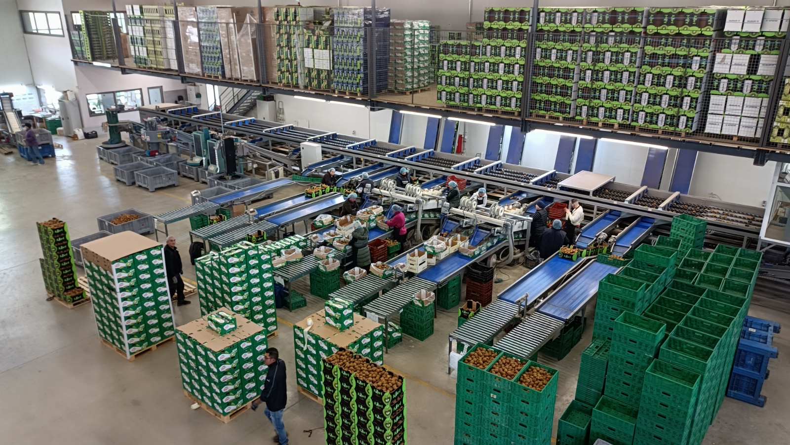 Εγκαταστάσεις διαλογής και συσκευασίας Sketos Fruits