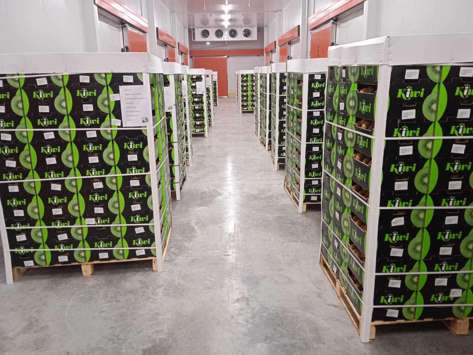 Sketos Fruits Storage Facilities